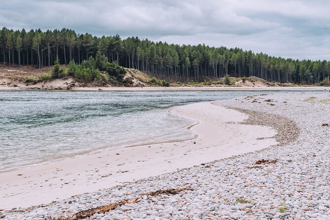 1 Day Moray Coast Tour with Speyside Whisky from Inverness - Troup Head, seabirds, and the limits of wildlife watching