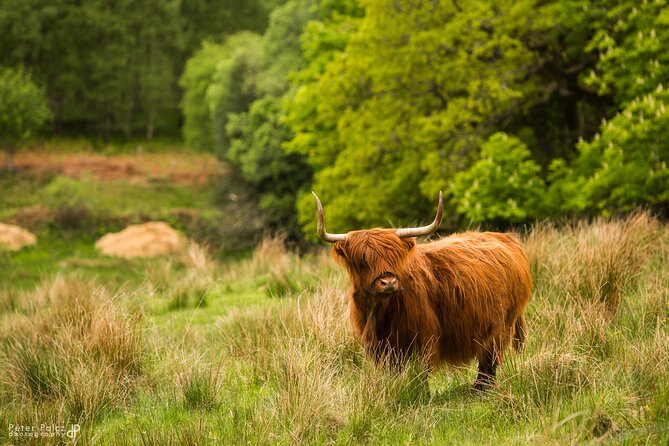 1-day Small Group Loch Ness Discovery Tour from Glasgow - Fort Augustus and Loch Ness: the day’s main stop