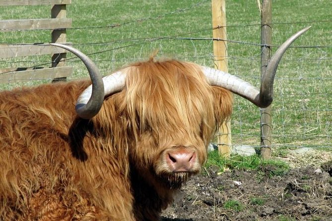3-Day Isle of Skye and Highlands Tour from Glasgow - Day 1: Loch Lomond, Luss, and the drama of Glencoe