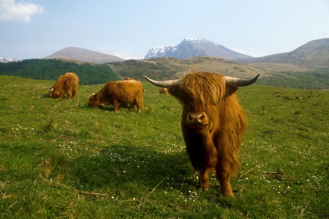3-Day Isle of Skye, 'Hogwarts Express' Train and Highlands Tour - What the guides add to the long driving days