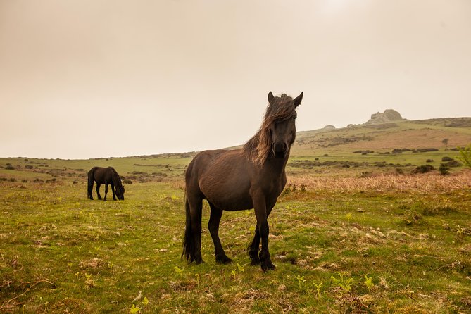 5-Day Devon and Cornwall Small-Group Tour from London - Why this Devon and Cornwall route works