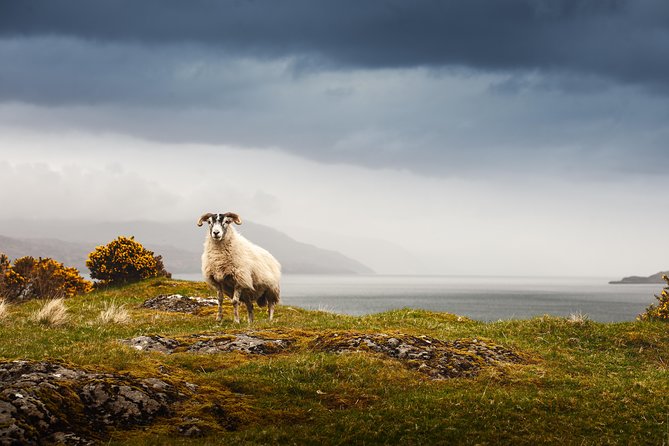 5-Day Iona, Mull and the Isle of Skye Small-Group Tour from Edinburgh - Day 1: Loch Lomond, Inveraray, and your first night in Oban