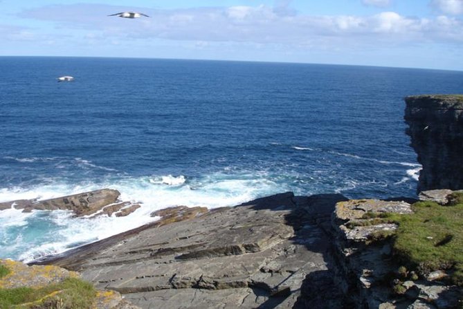 5-Day Orkney & Northern Coast Tour from Edinburgh Incl Admissions - The mini-coach, group size, and daily comfort