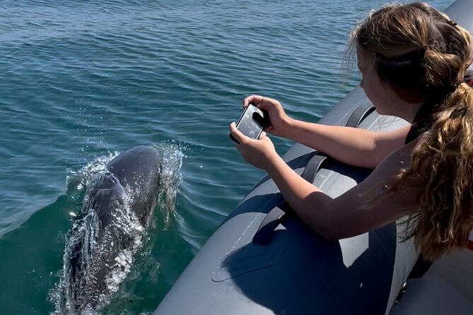 90 Minute Coastal Explorer in Torquay - Berry Head National Nature Reserve and the wildlife search