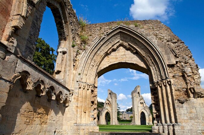 A Tour of Glastonbury, Guided by the Trees. - Key points to know before you book