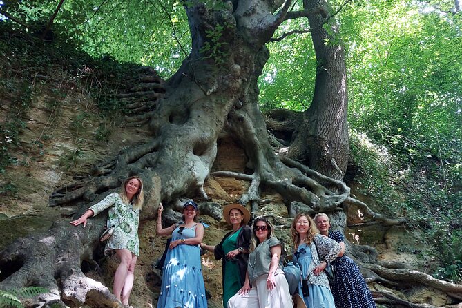 A Tour of Glastonbury, Guided by the Trees. - Starting at St John the Baptist’s Church