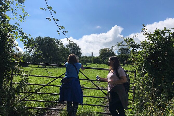 A Tour of Glastonbury, Guided by the Trees. - The springs at Well House Lane