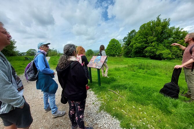 A Tour of Glastonbury, Guided by the Trees. - Finishing with Glastonbury Tor