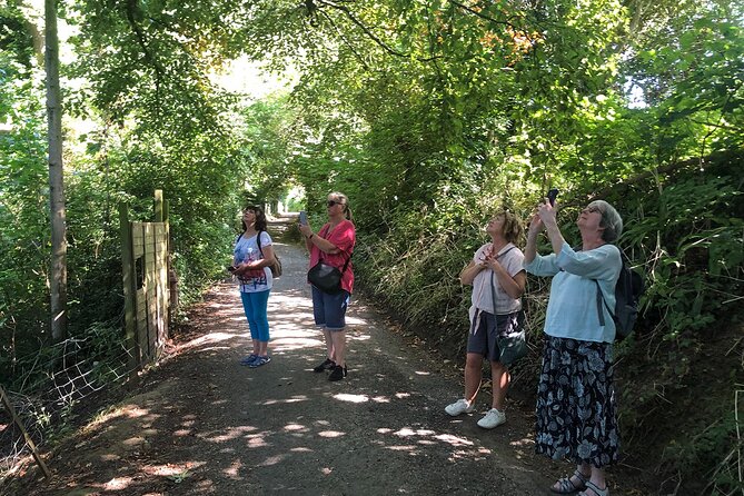 A Tour of Glastonbury, Guided by the Trees. - The guide’s style and personal attention