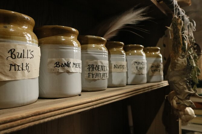 Admission Ticket to Sick To Death in Chester - Interactive Displays for Children and Adults