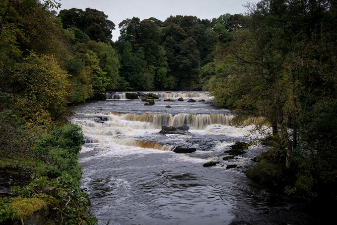 All Creatures Great & Small tour from York - Aysgarth Falls and Yorkshire Dales scenery