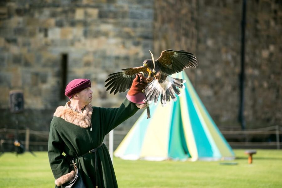 Alnwick: Alnwick Castle Ticket - Artisans Courtyard and family activities