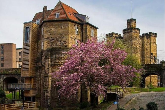 Annual Admission Newcastle Castle Ticket - The climb to the top
