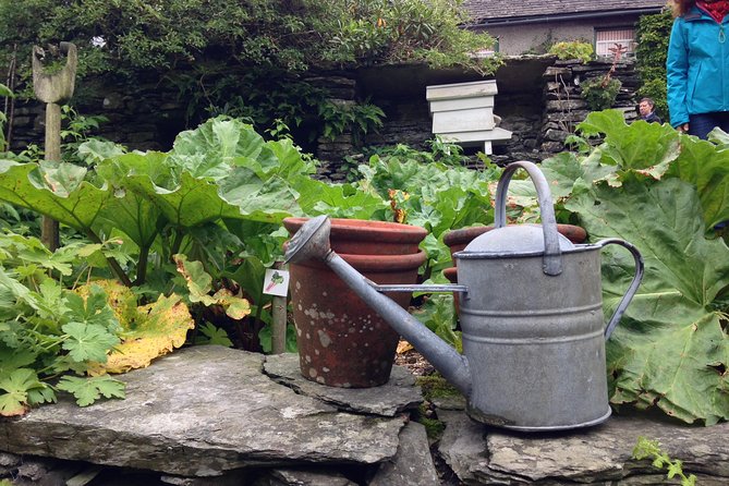 Beatrix Potter's Half Day Lake District Tour Including Lake Cruise - Tarn Hows and the value of a 20-minute view