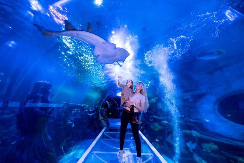 Birmingham: National Sea Life Centre Entrance Ticket - Starting at The Water’s Edge in Birmingham