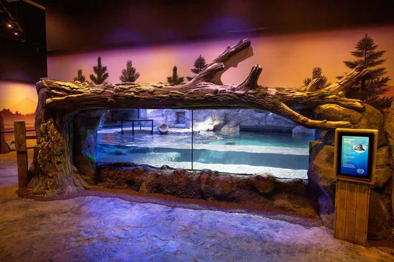 Birmingham: National Sea Life Centre Entrance Ticket - The Interactive Rockpool and its tactile lesson