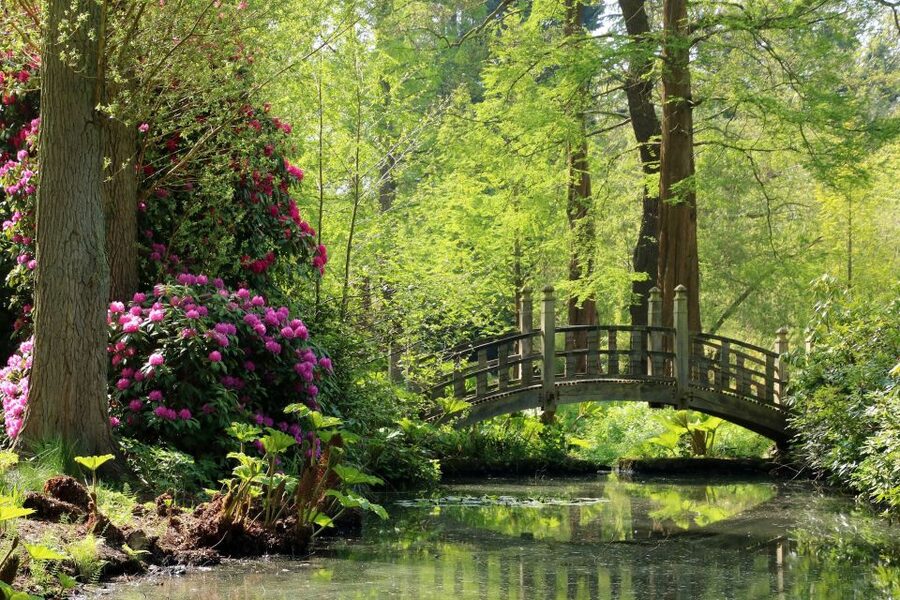 Birmingham: Winterbourne House and Garden Admission Ticket - Key points at a glance