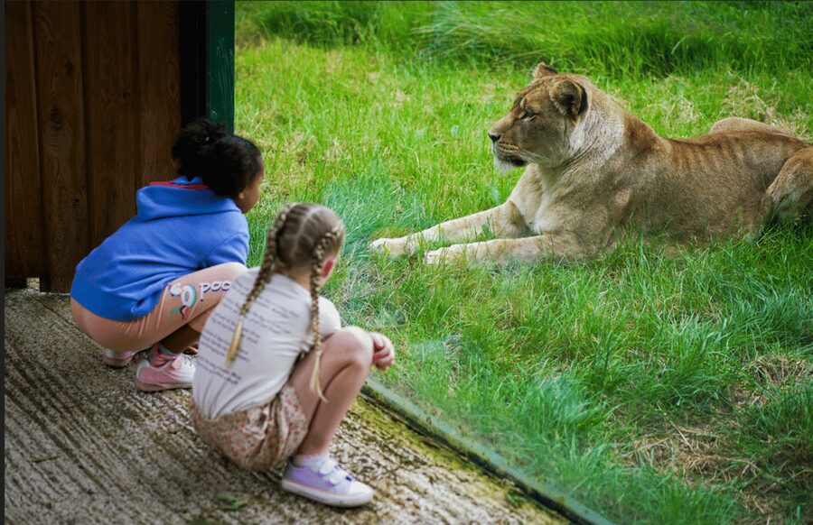 Blackpool: Zoo Admission Ticket - Planning your day around talks and feeds
