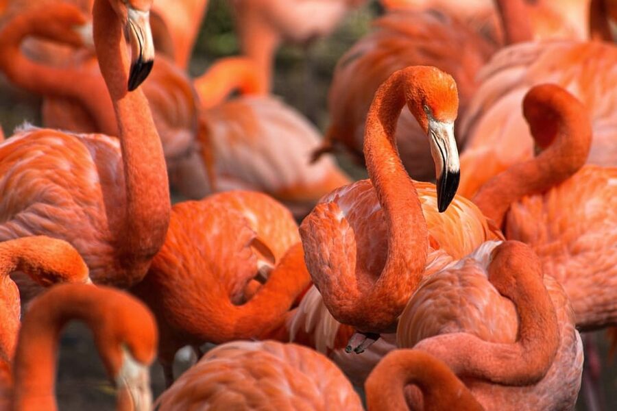 Blackpool: Zoo Admission Ticket - Food, picnics, and the cost of a day out