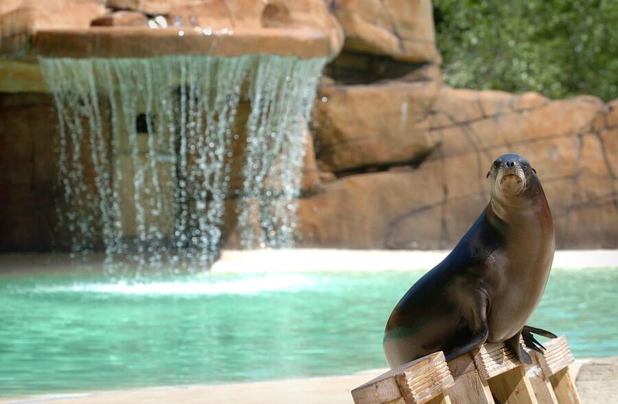 Blackpool: Zoo Admission Ticket - Crowds, weather, and the walking route