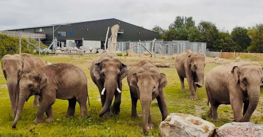 Blackpool: Zoo Admission Ticket - Starting with dinosaurs and prehistoric creatures
