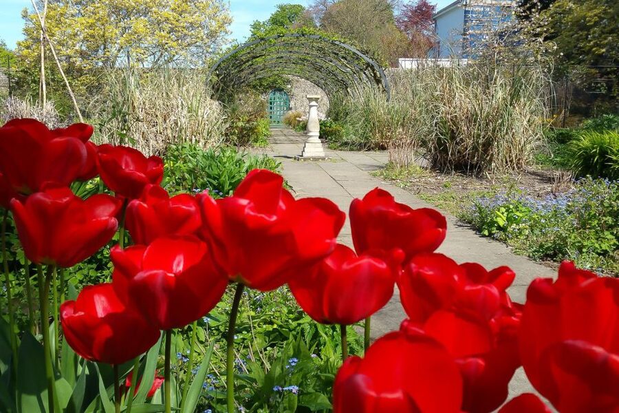Brighton City Bike Tour - The Royal Pavilion and Brighton’s Grand Oddity