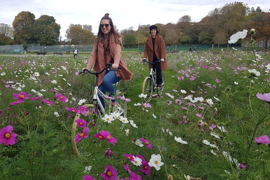 Brighton City Bike Tour - North Laine: Brighton’s Creative Side