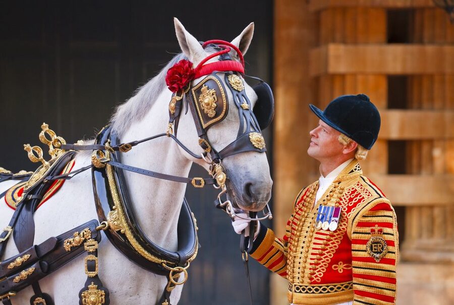 Buckingham Palace: The Royal Mews Entrance Ticket - The first look at the working stables
