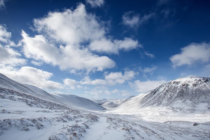 Cairngorms & Whisky Day Tour from Inverness Including Admission - Lunch in Aviemore, with time to choose