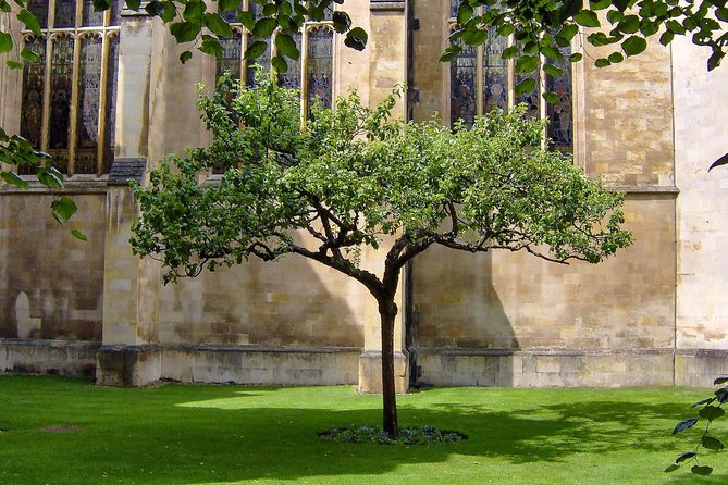 Cambridge: University Walking Tour - Who will enjoy this most?