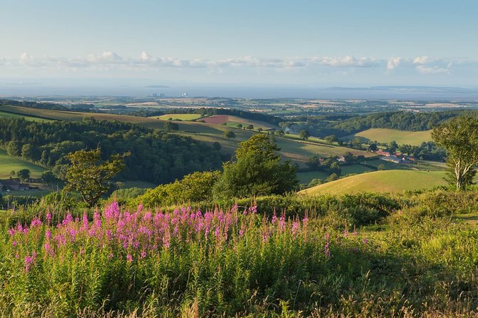 Canterbury & the White Cliffs of Dover Tour (Small-Group) - The guides make the difference