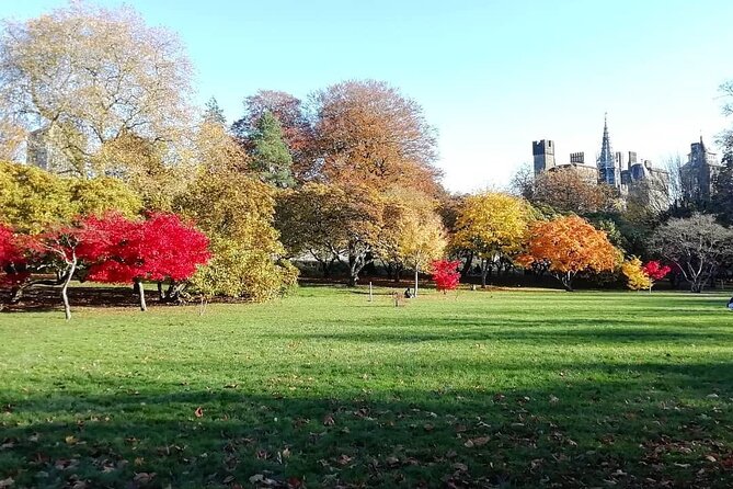 Cardiff City Private Guided Walking Tour - Castle Quarter Arcade and Cardiff’s independent shops