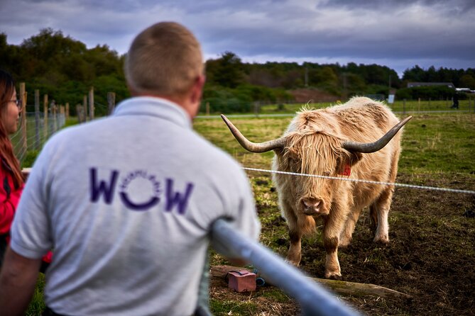 Classic Highland Shore Tour from Invergordon - Inverness: One Hour in the Highland Capital