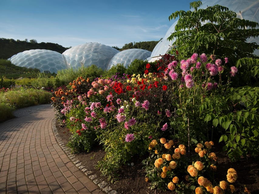Cornwall: Eden Project Entry Ticket - Inside the Rainforest Biome