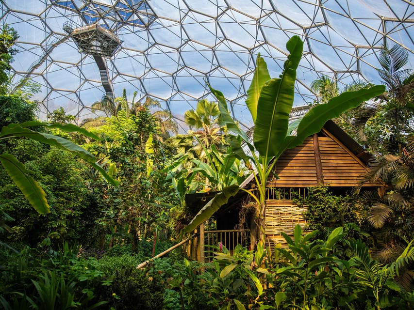 Cornwall: Eden Project Entry Ticket - The Mediterranean Biome and indoor exhibitions
