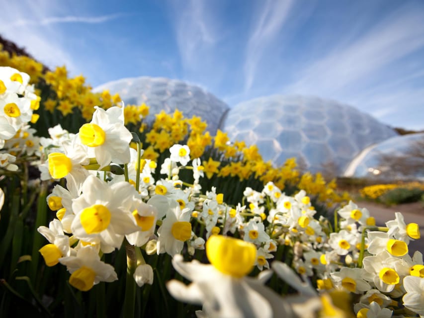 Cornwall: Eden Project Entry Ticket - Families, older visitors, wheelchairs, and dogs