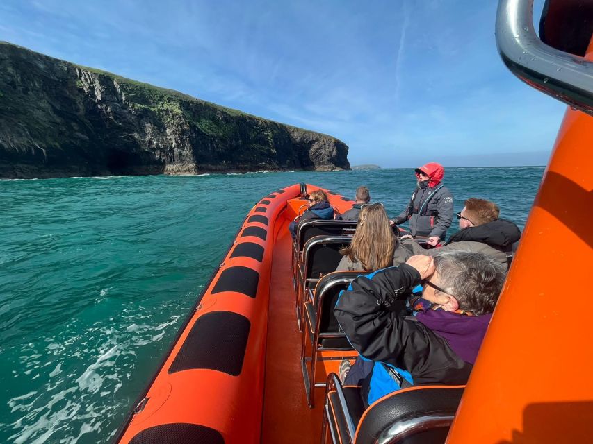 Cornwall: Guided Seal Safari by Boat - The Padstow Coast at Speed