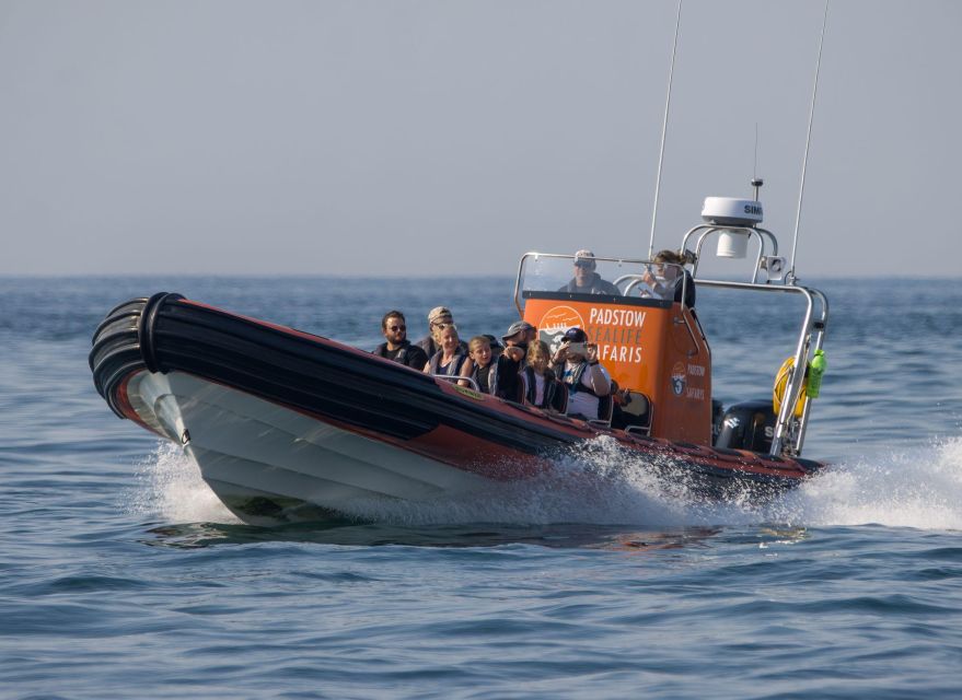 Cornwall: Guided Seal Safari by Boat - Booking Advice and Final Verdict