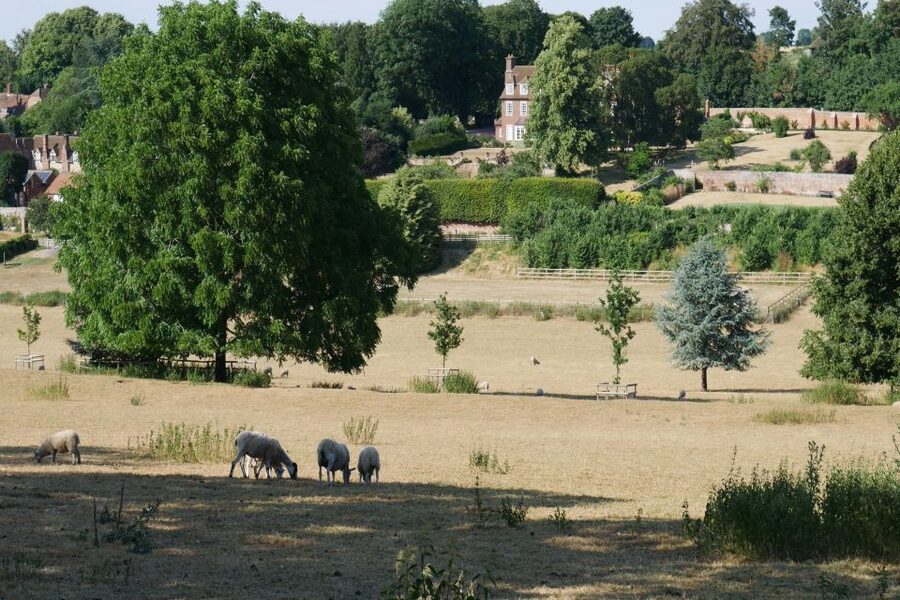 Day-Tour of the Midsomer Murders Locations - Henley-upon-Thames, the walking portion
