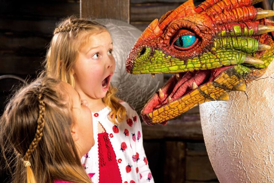 DreamWorks Shrek's Adventure and London Eye: Combo Ticket - The main strengths and limitations