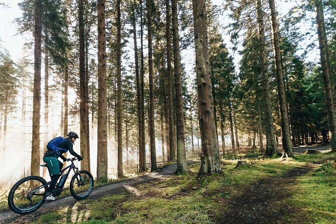 E-bike excursion exploring the Purbecks - Key Points to Know Before You Ride
