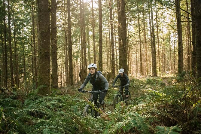 E-bike excursion exploring the Purbecks - Why an E-Bike Makes Sense in the Purbecks