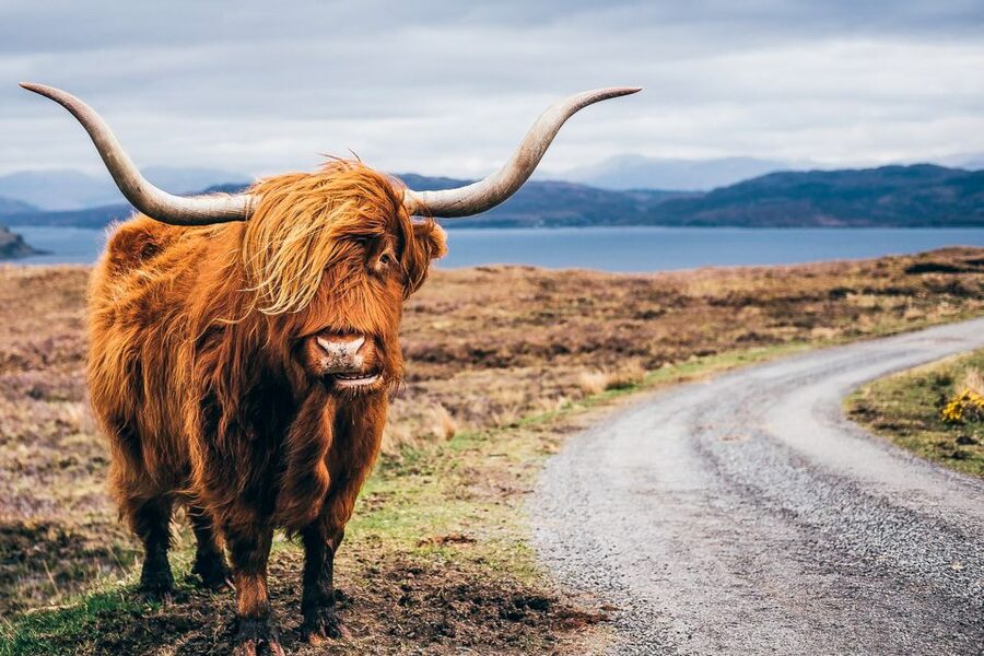 Edinburgh: 3-Day Isle of Skye, Highlands, and Loch Ness Tour - Day one: Loch Lomond, Rannoch Moor, and Glencoe