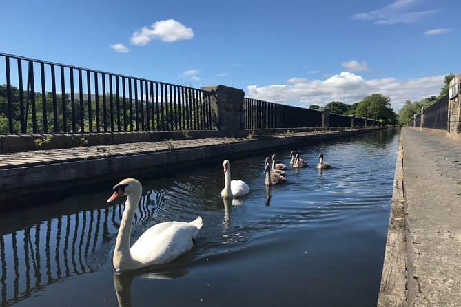 Edinburgh City Bike Tour - Choice of E-Bike or Manual - Calton Hill views and the Georgian finish