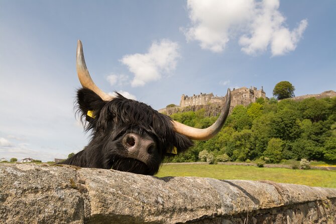 Edinburgh: Loch Lomond, Stirling Castle and the Kelpies Day Tour - The Kelpies begin the morning with a bang