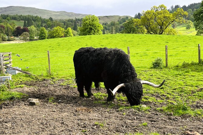 Edinburgh: Loch Ness, Glencoe & The Highlands - Pitlochry closes the loop