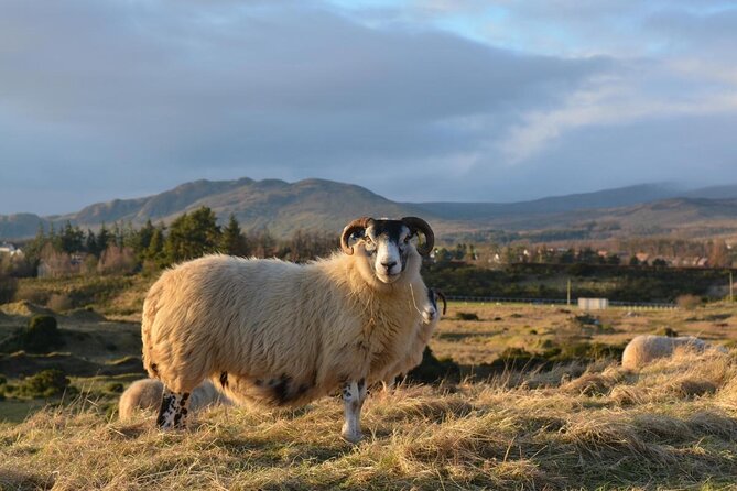 Edinburgh: Loch Ness, Inverness & The Highlands - 2 Day Tour - Key points before you book
