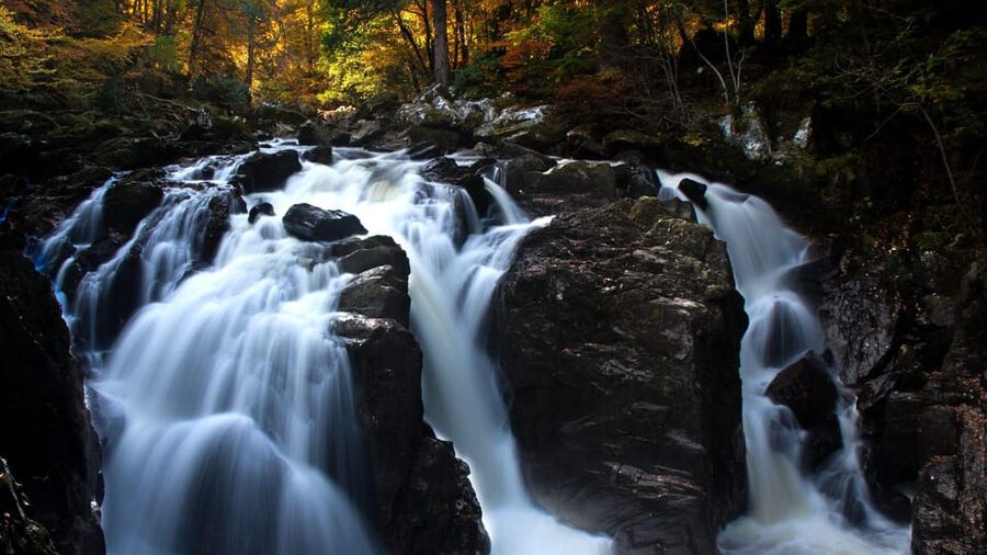 Edinburgh: Loch Ness, Scenic Walk, Glencoe & Whisky Day Tour - Highland cows, if the timing and season cooperate