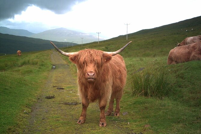 Edinburgh: Private Loch Ness Glencoe and The Highlands Tour - Rannoch Moor and Glencoe: The Scenic Opening
