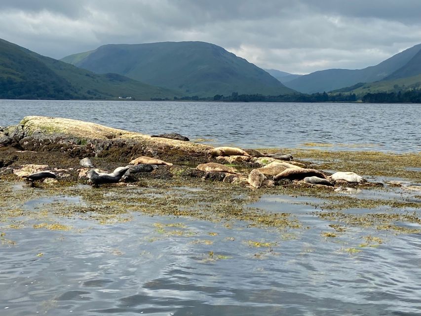 Fort William: Seal Spotting Loch Linnhe Cruise - Black Houses, farms, and the human shoreline